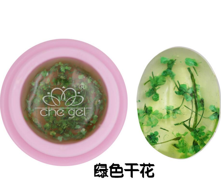 Color: Green - Floraland Dried Flower Fairy Nail Gel