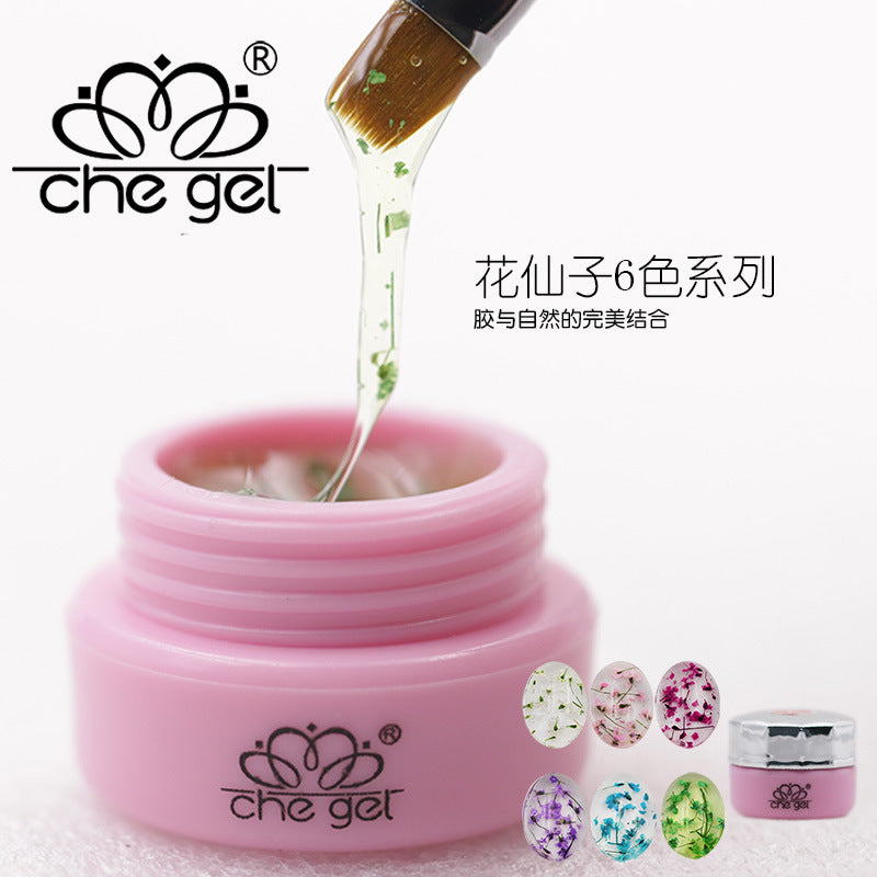 Color: 12 RAINBOW - Floraland Dried Flower Fairy Nail Gel